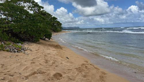 Private Beachfront Ocean View with Resort Amenities! - Foto 2