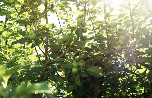 The Waldoboro Inn - Foto 11