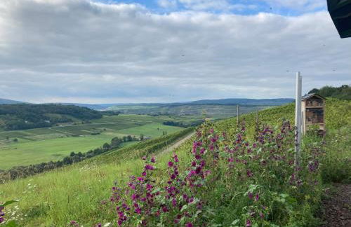 Ferienwohnung zum Mandelgraben - Foto 16