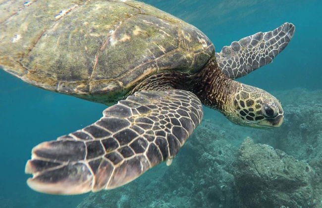 Paseo en catamarán + Snorkel - Foto 9