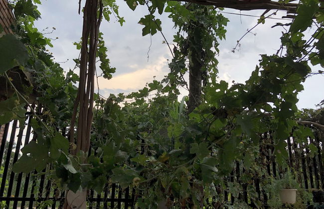 Bau Bi Mini Farmstay Mekong - Tien Giang - Foto 39