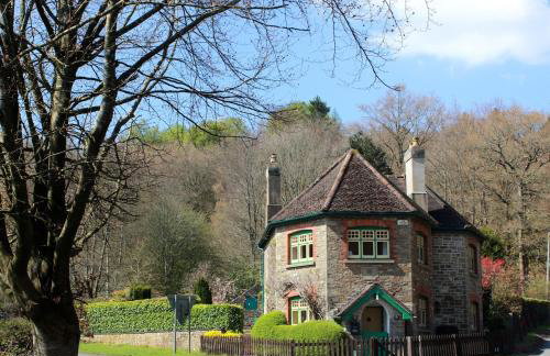 Historic Pike House with Beautiful Garden - Photo 24