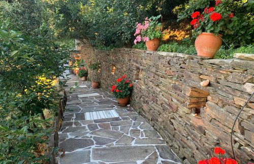 Ikaria View Resort and Villa with Pool - Photo 63