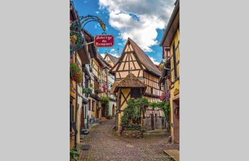 Coeur Alsace - Foto 43