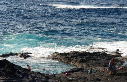 Vila Pilar Mar - Rural Apartment in the Countryside of São Miguel - Photo 16