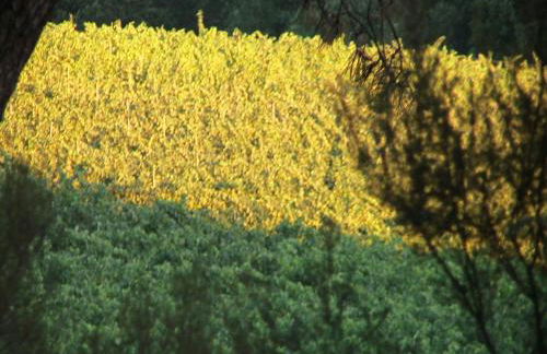 Agriturismo Campo del Monte - Photo 21