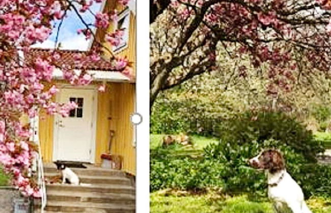 8 Person Holiday Home in Karlskrona - Foto 40