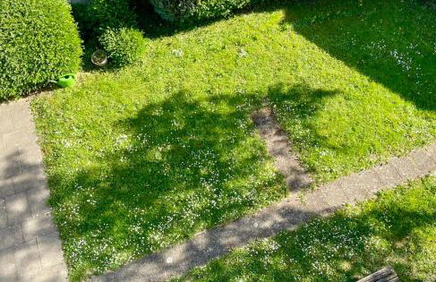 Ferienwohnung Seehas am Bodensee - Foto 2