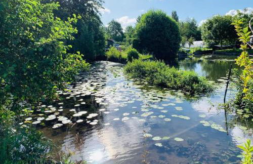 Le Cottage des Hortillonnages - Foto 9