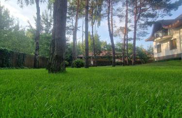 Modra Sikorka - Foto 58