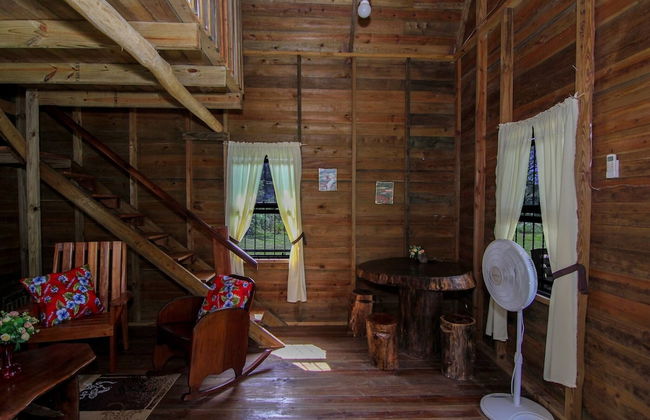 Pilgrim's Paradise Cabin 2 - Photo 6