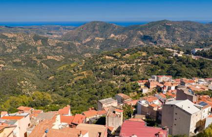 Sa omu de sa palgia - Foto 27