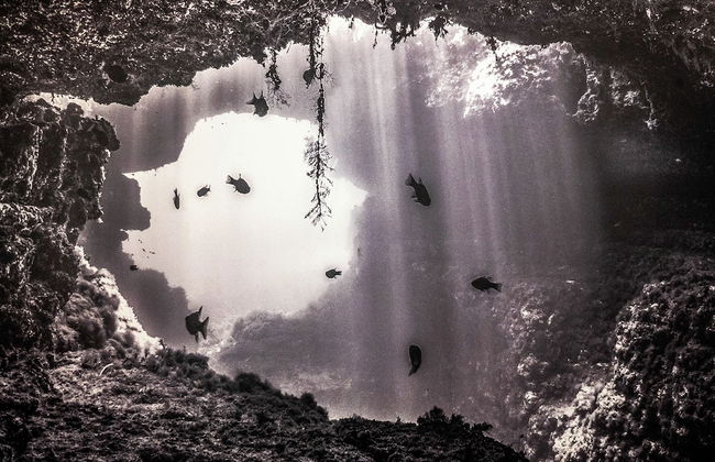 Gozo Dive Residence - Foto 6