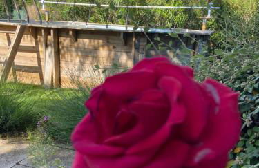 La roseraie Bonnieux - Foto 6