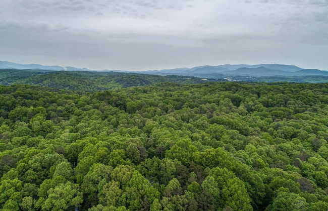 Buck Valley Lodge Mountain Getaway! - Foto 35