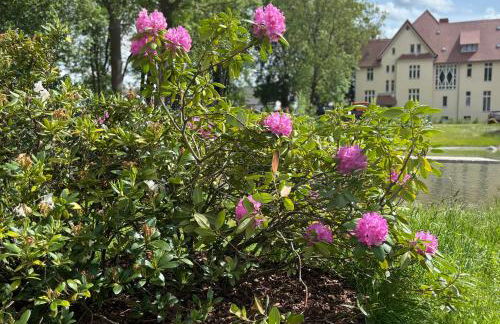 Ferienwohnung Domaene Kermen - Foto 31