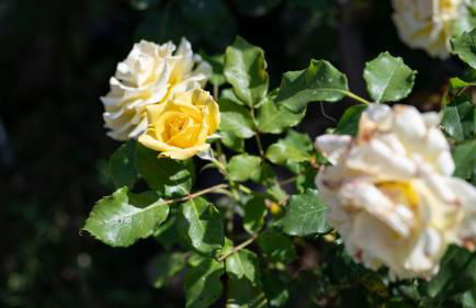 Agriturismo TerraMadre - Foto 62