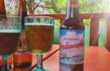 Domki RADAWA na Kliszówce - Foto 55