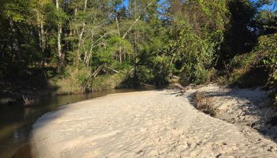 Glass House retreat on scenic Bogue Falaya river - Foto 5