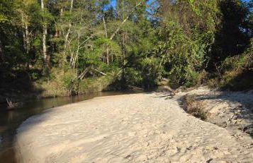 Glass House retreat on scenic Bogue Falaya river - Foto 5