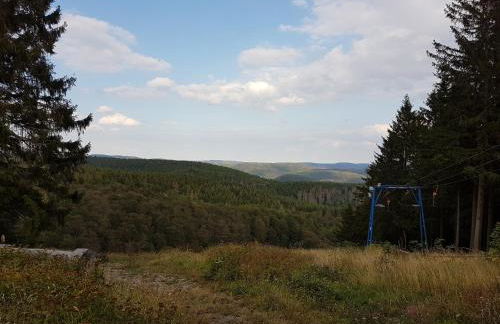 Ferienwohnungen Harz - Wieda - Foto 9