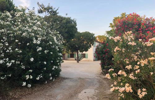 Mas de Plisset - Foto 22