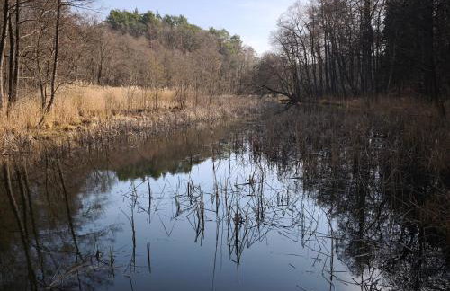 Przystań Familijna - Foto 19