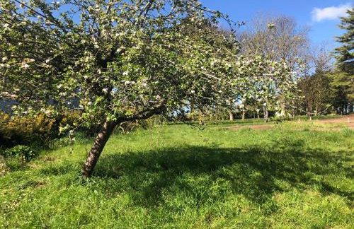Villa Tidinghi, plage de Rospico à pied - Photo 24