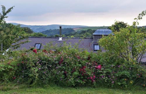 Nantgwynfaen Organic Farm Wales - Photo 45