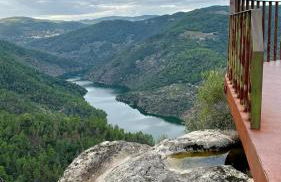 Casa da Oliveira - Foto 6