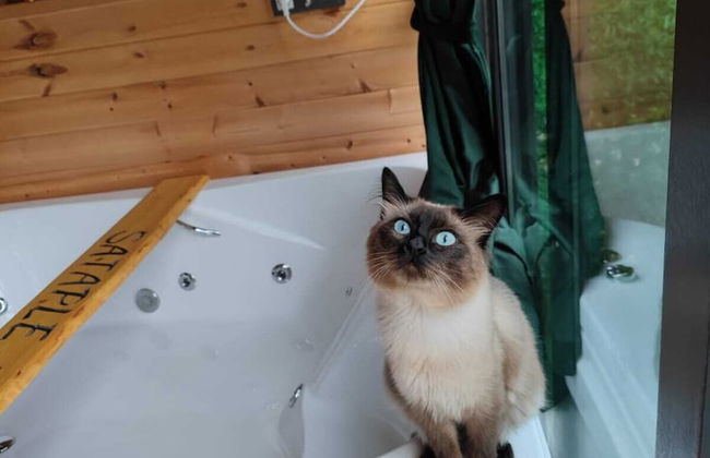 Sataplebungalov - Foto 10