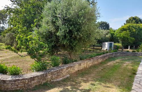 Lemontree Apartments - Foto 71