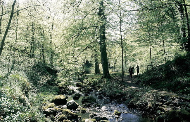 Stunning Premium Yurt in Kelburn Estate Near Largs - Foto 19