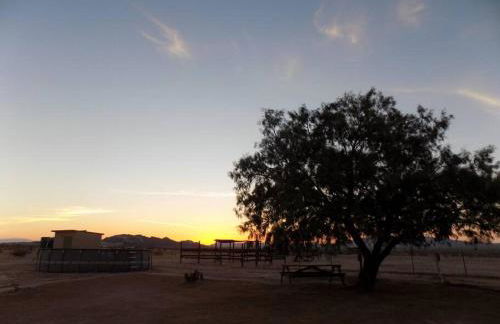 Desert Gem - Foto 57