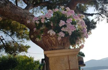 Schinas Apts. - Foto 27