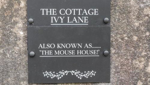 The Mouse House - Photo 2