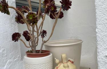 Casa LaMedina - Foto 30