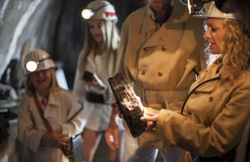 Hennen-Nest - Foto 33