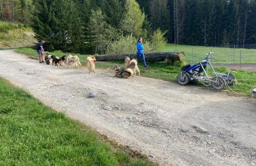 Le pied des pistes, studio 5 pers, balcon sud est, vue sur les montagnes - Foto 62