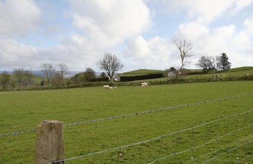 Bryntrisant - Foto 13