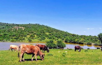 Villa Pialia - Foto 29