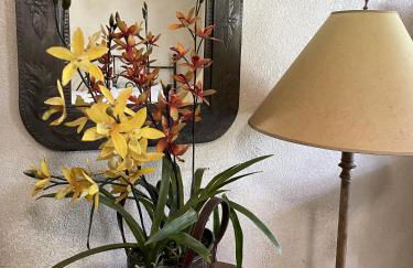 C9, Two bedroom, two bath, log-sided, lake view cottage with hot tub cottage - Foto 17