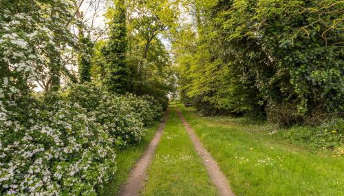 Gîte familial rénové avec jardin, activités extérieures et recharge électrique à Mesquer - FR-1-306-843 - Foto 3
