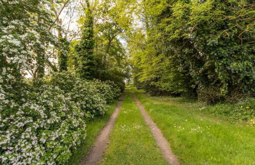 Gîte familial rénové avec jardin, activités extérieures et recharge électrique à Mesquer - FR-1-306-843 - Foto 3