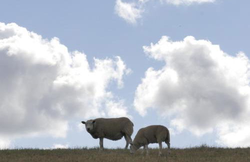 Käptn's Koje - Foto 52