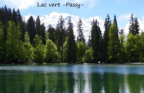 Appartement T2+cabine indépendante au départ des télécabines Saint-Gervais/Bettex/Mont d’Arbois - Foto 77