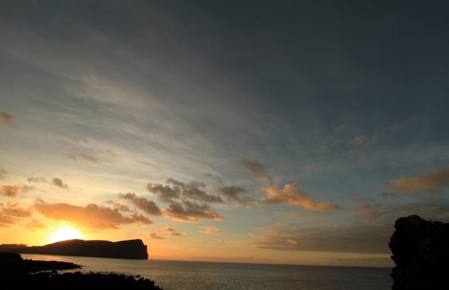 Casa Branca do Porto - Photo 12