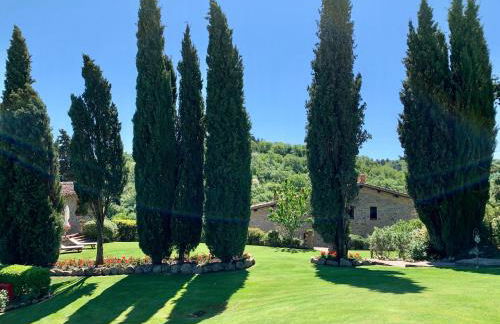 Agriturismo Il Colle - Foto 71