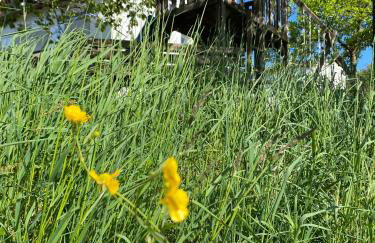 Rhön Ferienwohnung Ebert - Foto 11