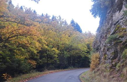 Wood Cabins by the River - for Nature Lovers - Photo 61